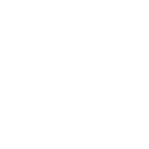 MZ