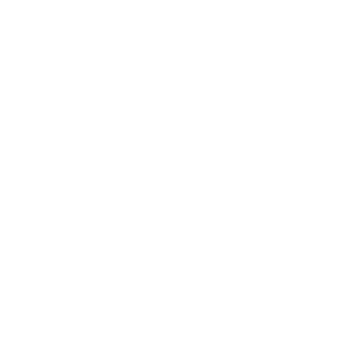 Social Lions