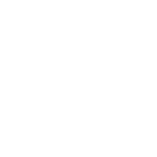 Passport